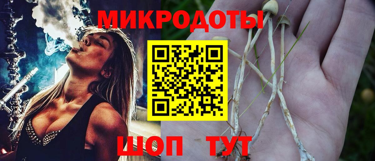 Псилоцибиновые грибы Cubensis  Вход с VPN  Урюпинск  Псилоцибиновые грибы мицелий 